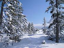 Winterlandschaft beim L�ckersee
