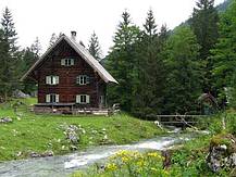 der "neue" Bach beim Jagdhaus