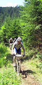 durch Wald und Wiese im Hintertal