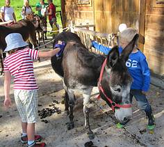beim Striegeln dürfen alle Kinder mithelfen