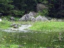 überschwemmte Alm beim Jagdhaus