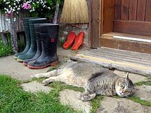 Durih's Tal bin i glaffn, afn Hechl bin ih glegn und dein Sunn hat mi tr�ckert, wann mih gnetzt hat dein Regn (gilt auch f�r K�tzin)