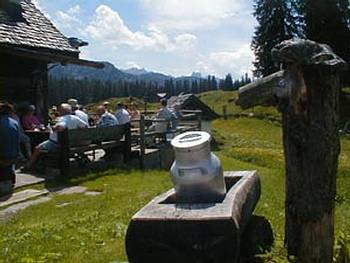 Alm Einkehr bei der Leutgebh�tte
