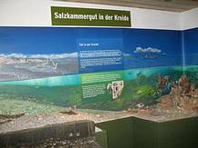 Ausstellung im GEO Museum Gosau