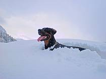 herrlich ein Bad im Schnee