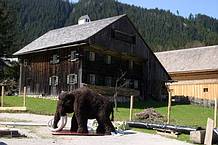Mammut beim Gosauer Freilichtmuseum