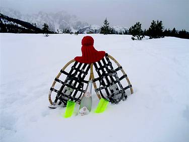 Schneeschuhwanderung, Schneeschuhe