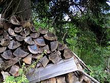 alter Holzstoss