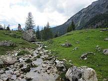 Blumen- und Wasserreicher Almboden bei der Neualm