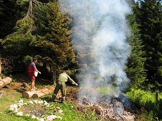 der Waldbrand wurde rechtzeitig gel�scht