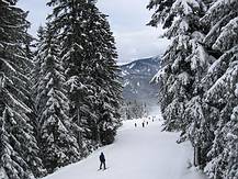 Ski Region Dachstein West