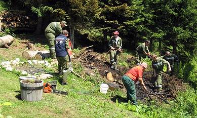 Brandherd im Wald