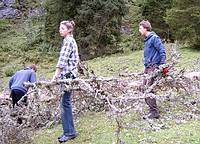 Holz zusammen tragen