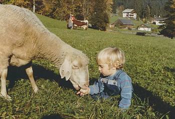 Georg Ringer beim Schafe füttern 1984, Foto Anni Ringer
