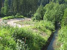 B�rnbach neu und alt
