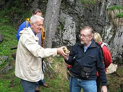 wieder ein Stein mit Fossilien entdeckt