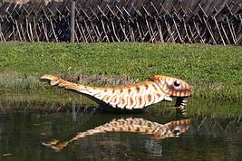 Ein "Mammutfisch" schwimmt im Teich