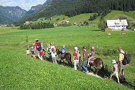 Eselwanderung durch das Gosautal