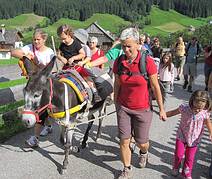 alle wandern begeistert mit