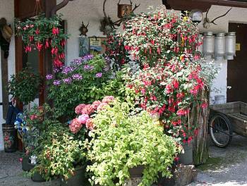 Blumenstilleben