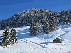 Winter in Gosau, H�tte beim Gosaubach