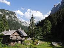 die Vordere Holzmeisteralm, nach dem Vorderen Gosausee
