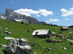 Stuhlalm mit Bischofsm�tze