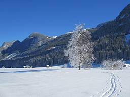 Gosau im Winter, Vordertal