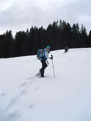 Schneeschuhwanderung, Aufstieg zum L�ckermoor
