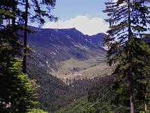 Beim Aufstieg Blick zur Rinnbergalm