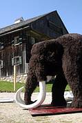 Das Mammut vor dem Gosauer Freilichtmuseum