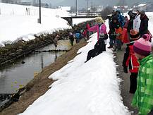 Faschingstreiben entlang dem Gosaubach
