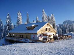Schialm GoGosau