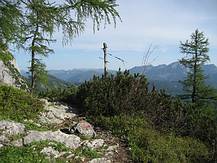 Blick zur�ck Richtung Zwieselalm und Plassen