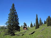 Stimmung auf der Schartenalm