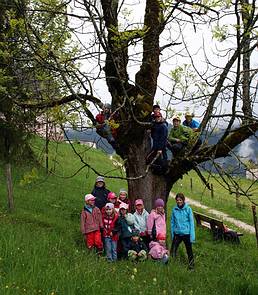 junge Abenteurer beim Walderlebnisnachmittag, kraxeln und die Natur erleben