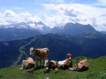 Bodenbergalm mit Dachstein und Gosaukamm