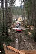 Bagger im gosauer Urwald