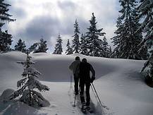 mit Schneeschuhen im L�ckermoor