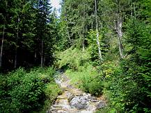 Wald und Wassergraberl