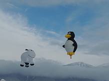 Achtung Kuh und Pinguin fahren �ber den Kalmberg