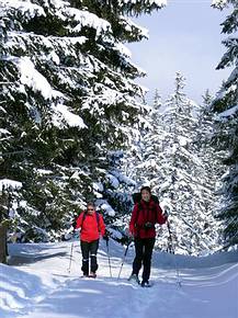 Schneeschuhwanderung Aufstieg zum L�ckersee