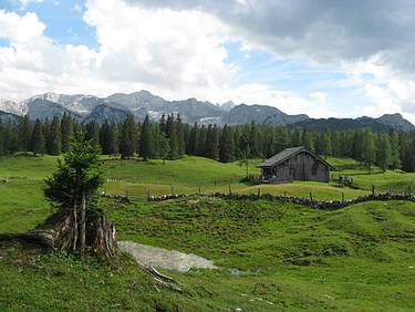 Plankensteinalm
