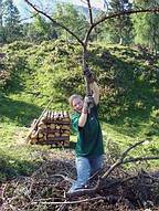 Kyrill sorgte f�r Arbeit