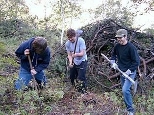 Teamarbeit in der Natur