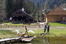 Museumsgel�nde in Gosau