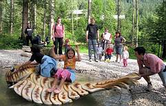 Familienerlebnispark Urzeitwald in Gosau