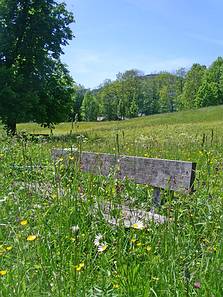 Wiesenbank im früheren Schlosspark, Foto Anni Ringer