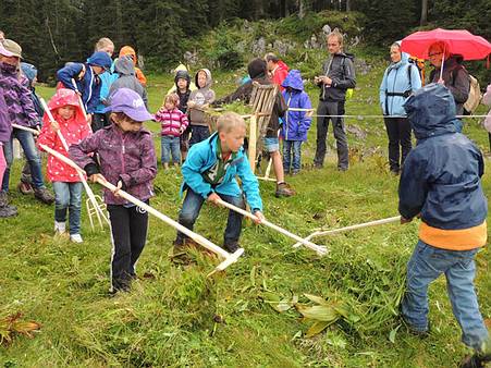 wir helfen den Almwichteln beim Gras einbringen