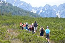 durch die Latschen gehts zum L�ckersee